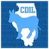 College Democrats of Illinois